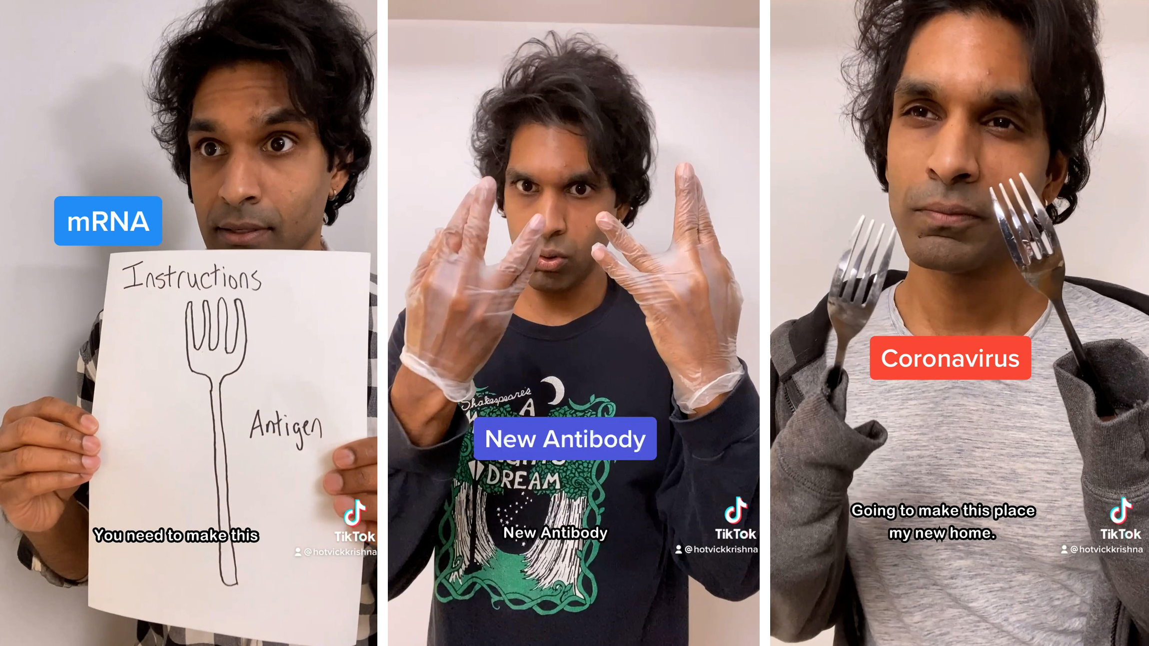 Video stills from Vick Krishna's viral video. (Vick Krishna/NPR)