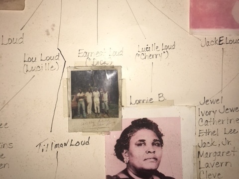 The Loud family tree (Fred Wardlaw)