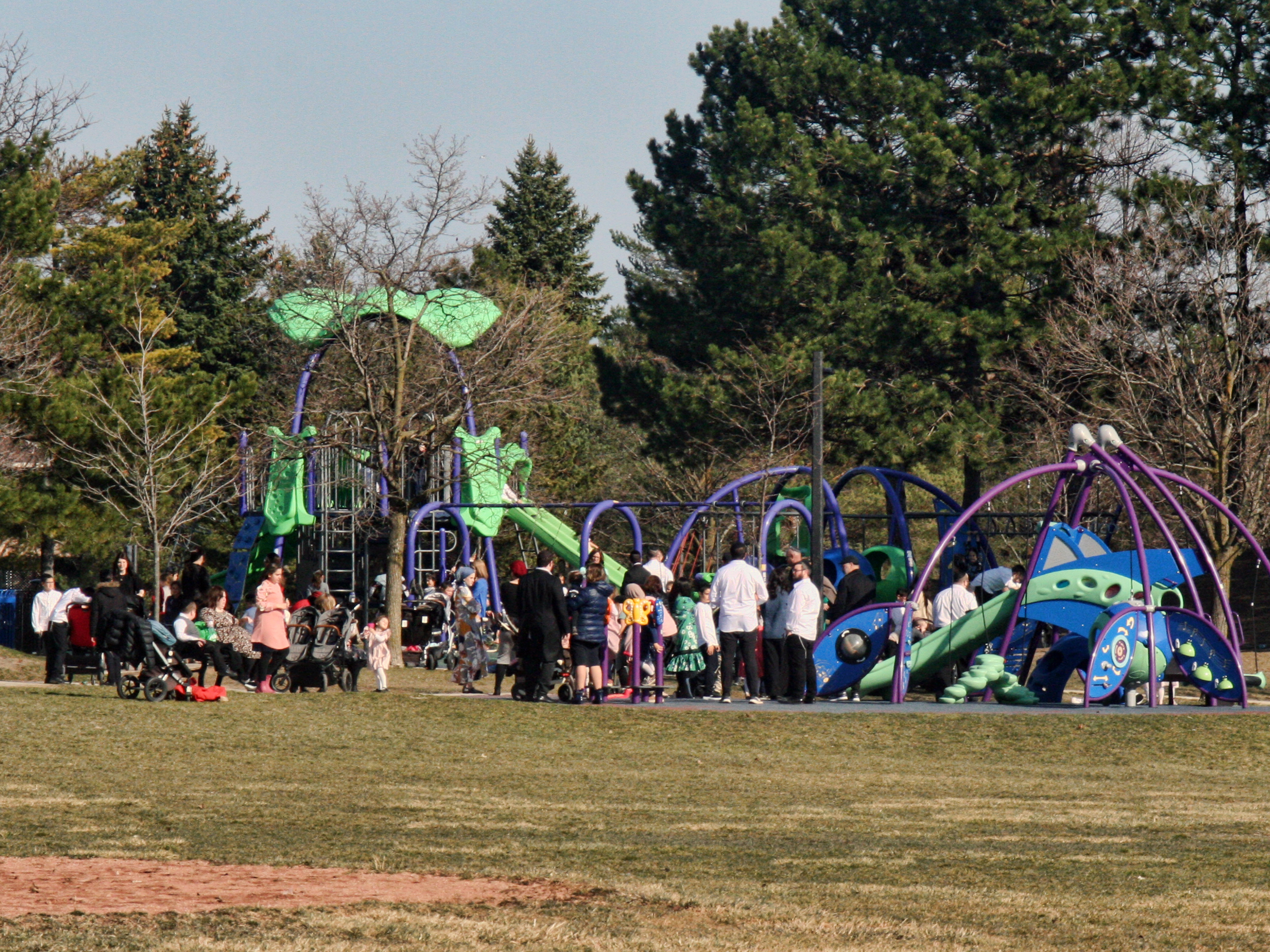 Trust for Public Land targets tribal communities for schoolyard project - Vimarsana News