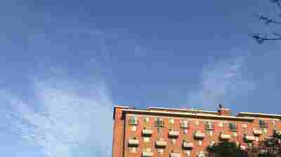 D.C. Wasted Hundreds Of Permanent Housing Voucher Subsidies Last Year 