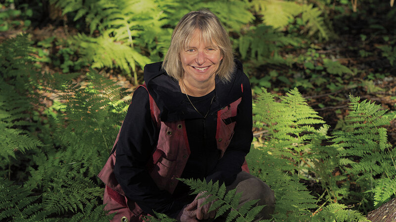 Trees Talk To Each Other. 'Mother Tree' Ecologist Hears Lessons For People, Too 1