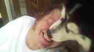 On The Road, At The Ballpark: Americans Celebrate Vaccinations, Lifting Businesses