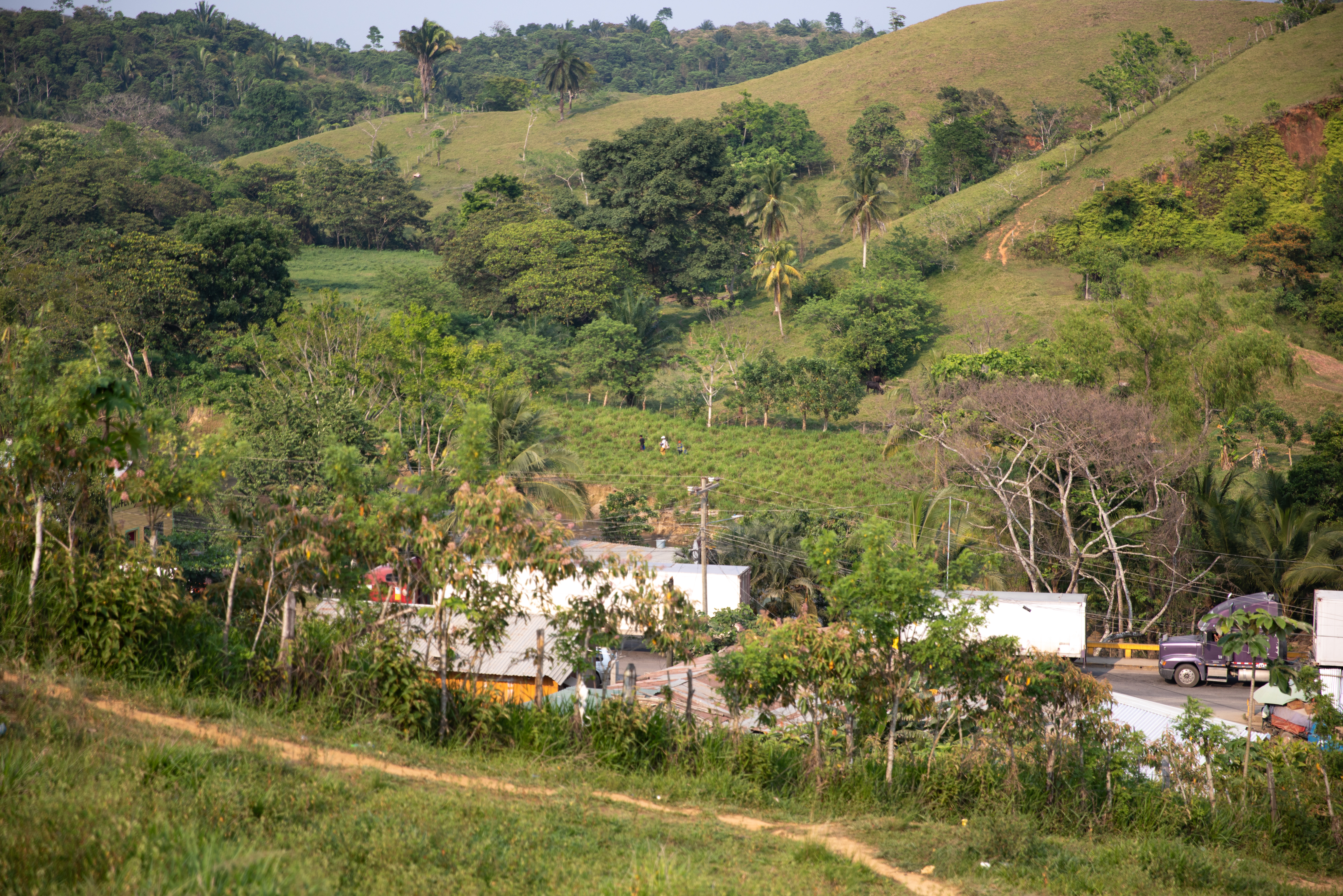 A smuggler (in background, behind truck with red cab) bypasses the border crossing in the town of Corinto and leads a pair of migrants on a footpath through a farm that leads from Honduras to Guatemala. (Tomas Ayuso for NPR)