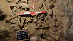 'Extraordinary Discovery': Archaeologists Find Neanderthal Remains In Cave Near Rome