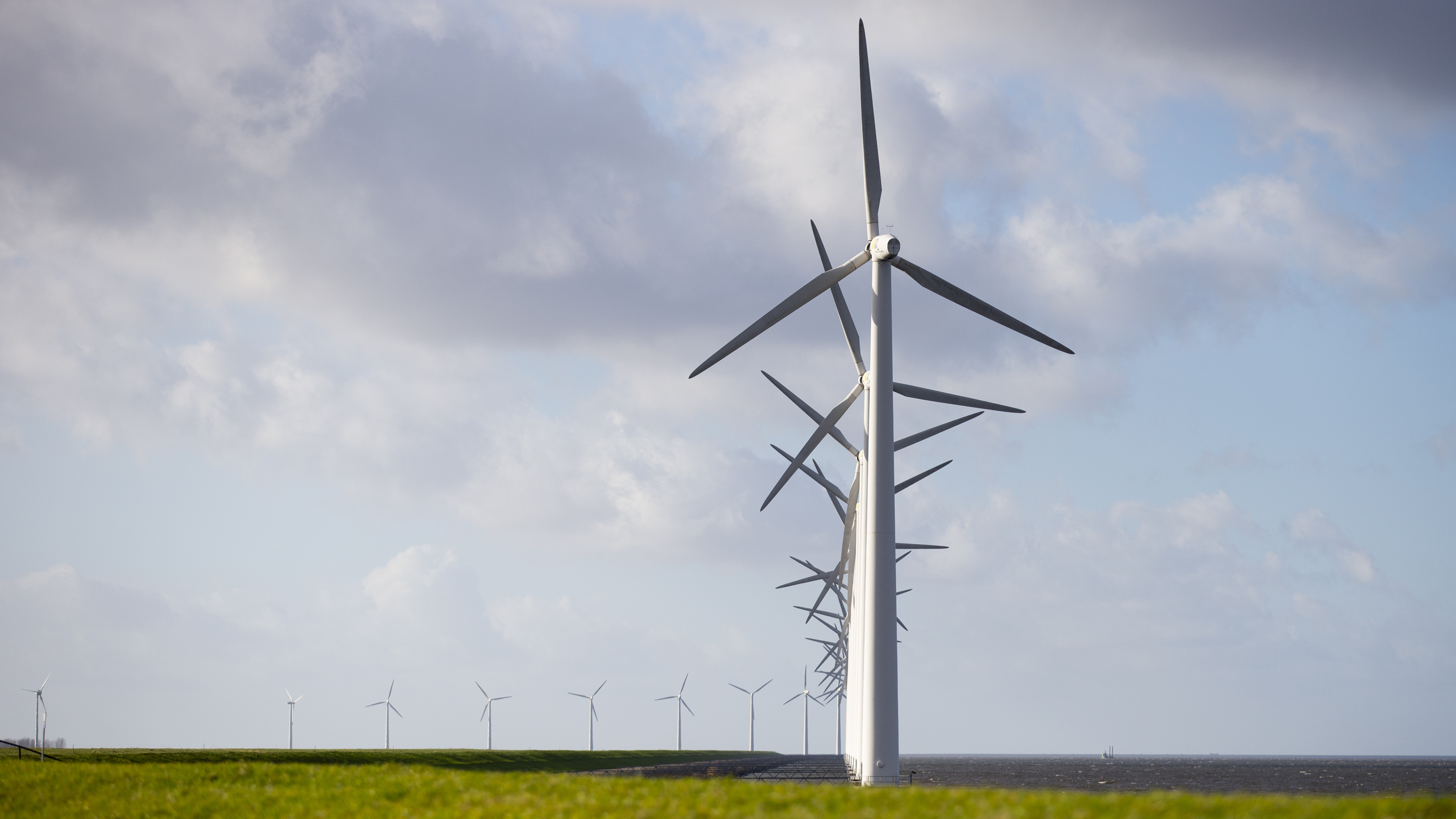 A new International Energy Agency report on climate change calls for halting approval of all new coal power plants this year. Here, wind turbines are seen on a dike near Urk, Netherlands, in January.