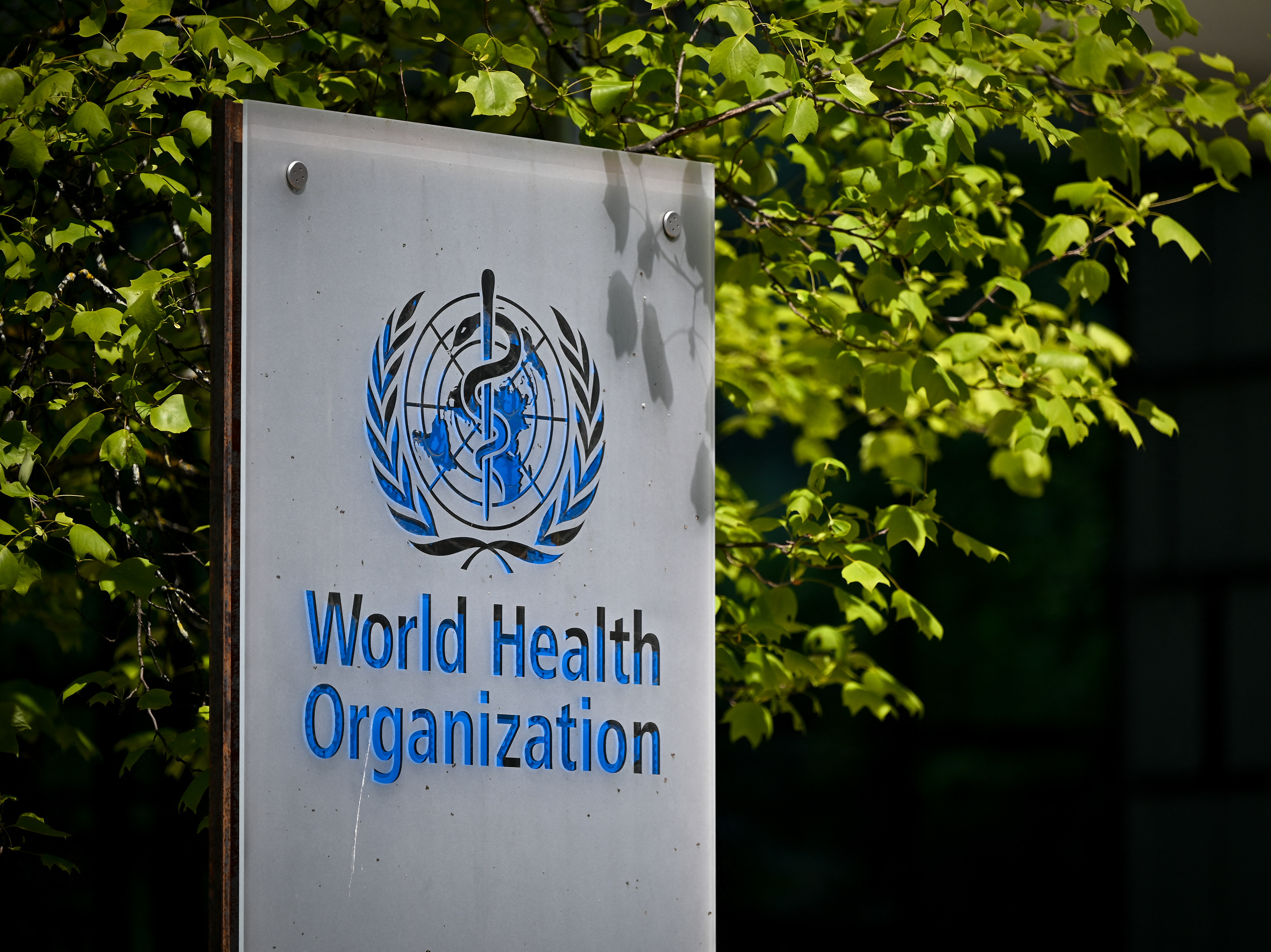 The World Health Organization says it will start assigning new names for variants of the coronavirus based on letters from the Greek alphabet — part of an effort to help avoid stigmatization around the virus. (AFP via Getty Images)