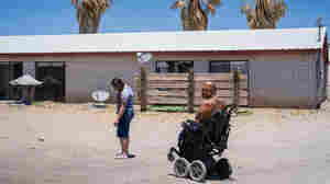 Home/Front: Battle Lines