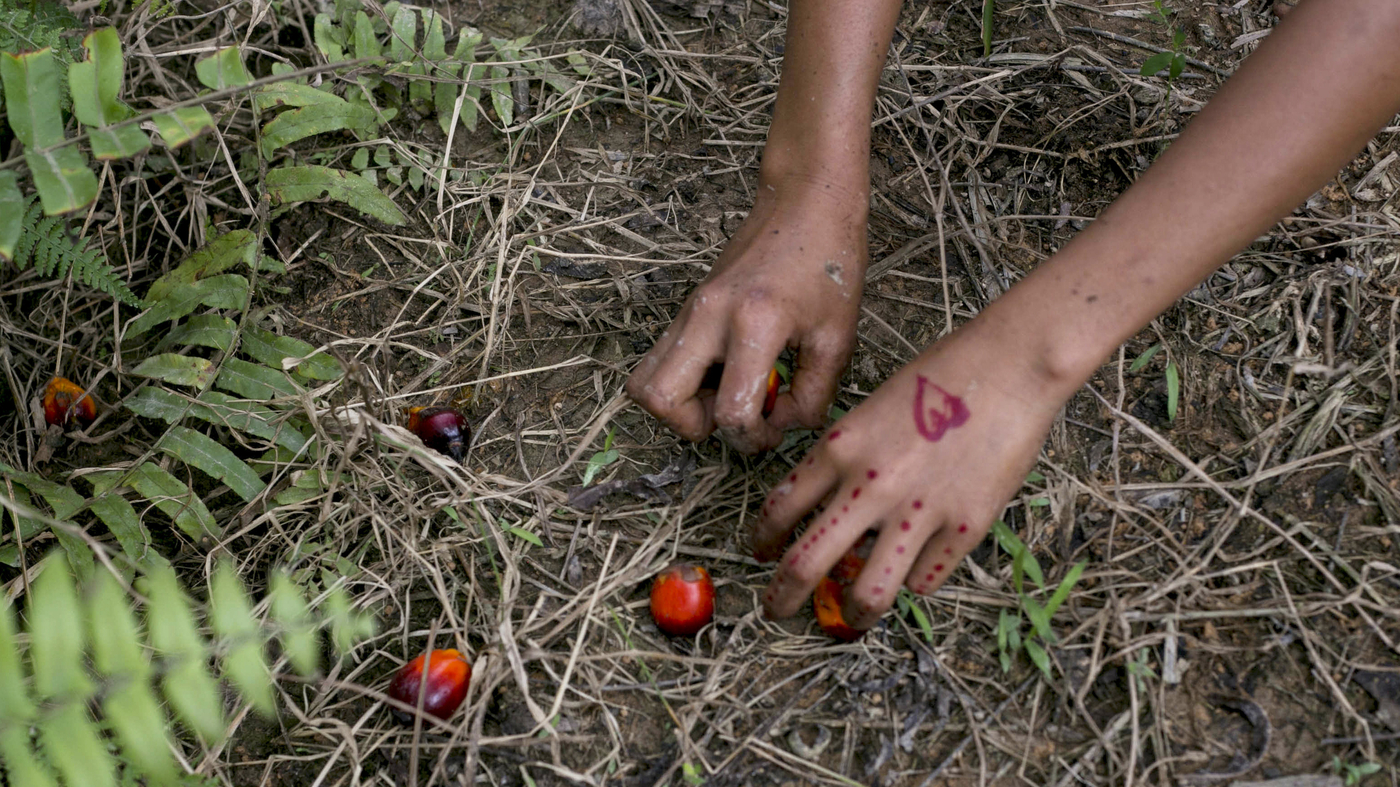 Child Labor Surges For The Fir...