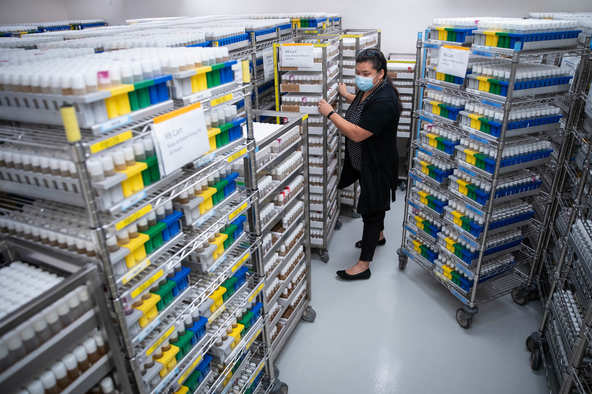 Amanda Cavallaro's job is to keep 40,000 different strains of fruit flies alive. She was among a small number of Janelia employees who never stopped coming in to work in the pandemic. (Sarah Silbiger for NPR)