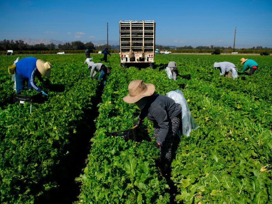 Supreme Court Hands Farmworkers Union A Major Loss