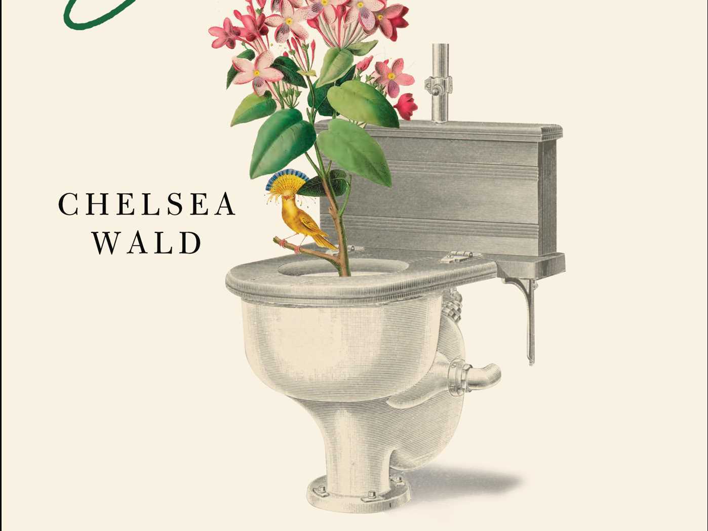 Pipe Dreams, by Chelsea Wald