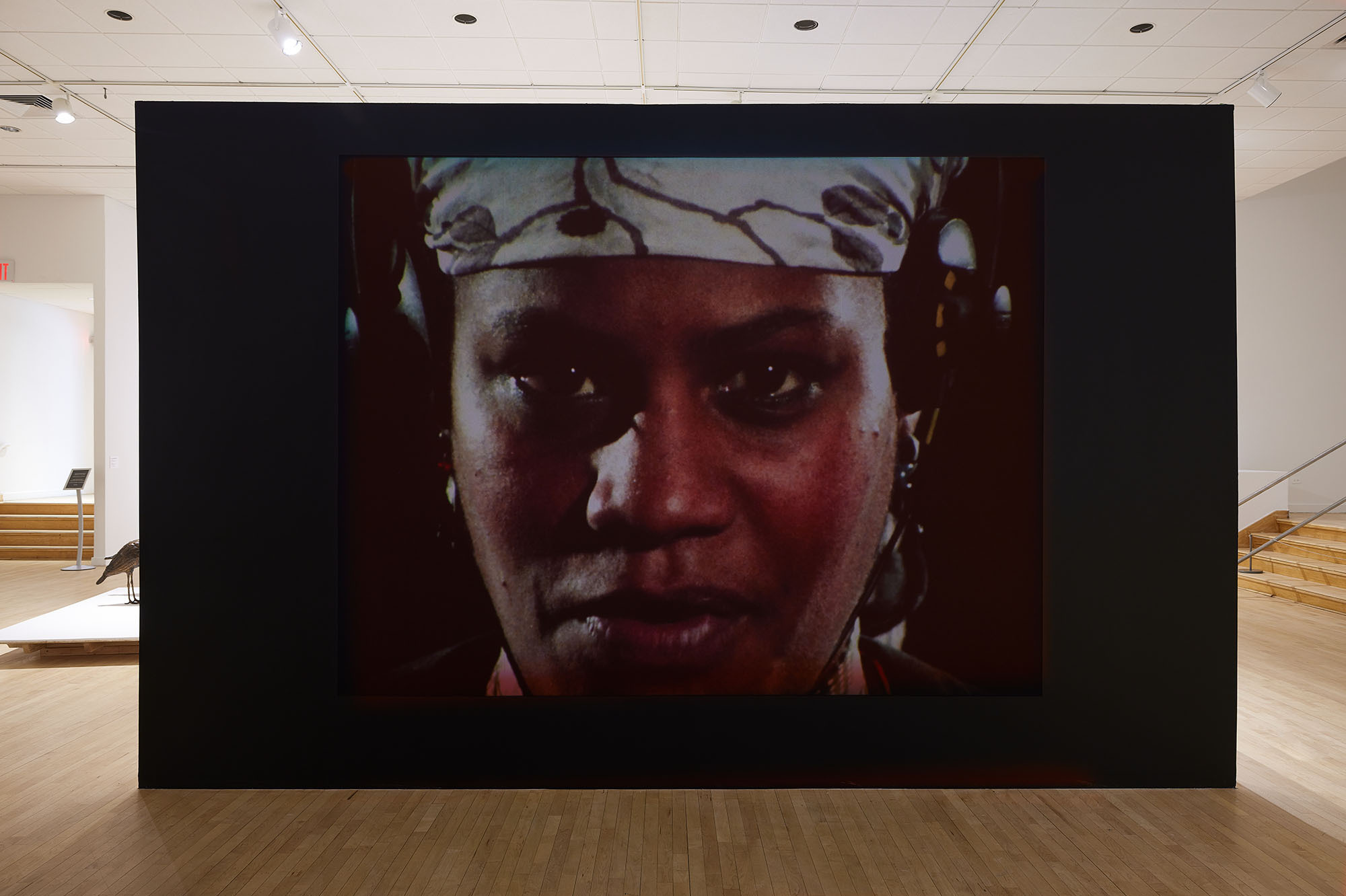 Jean Satterfield plays the revolutionary leader of an underground women's army in the 1983 feminist classic <em>Born in Flames.</em> (The Bronx Museum of the Arts)