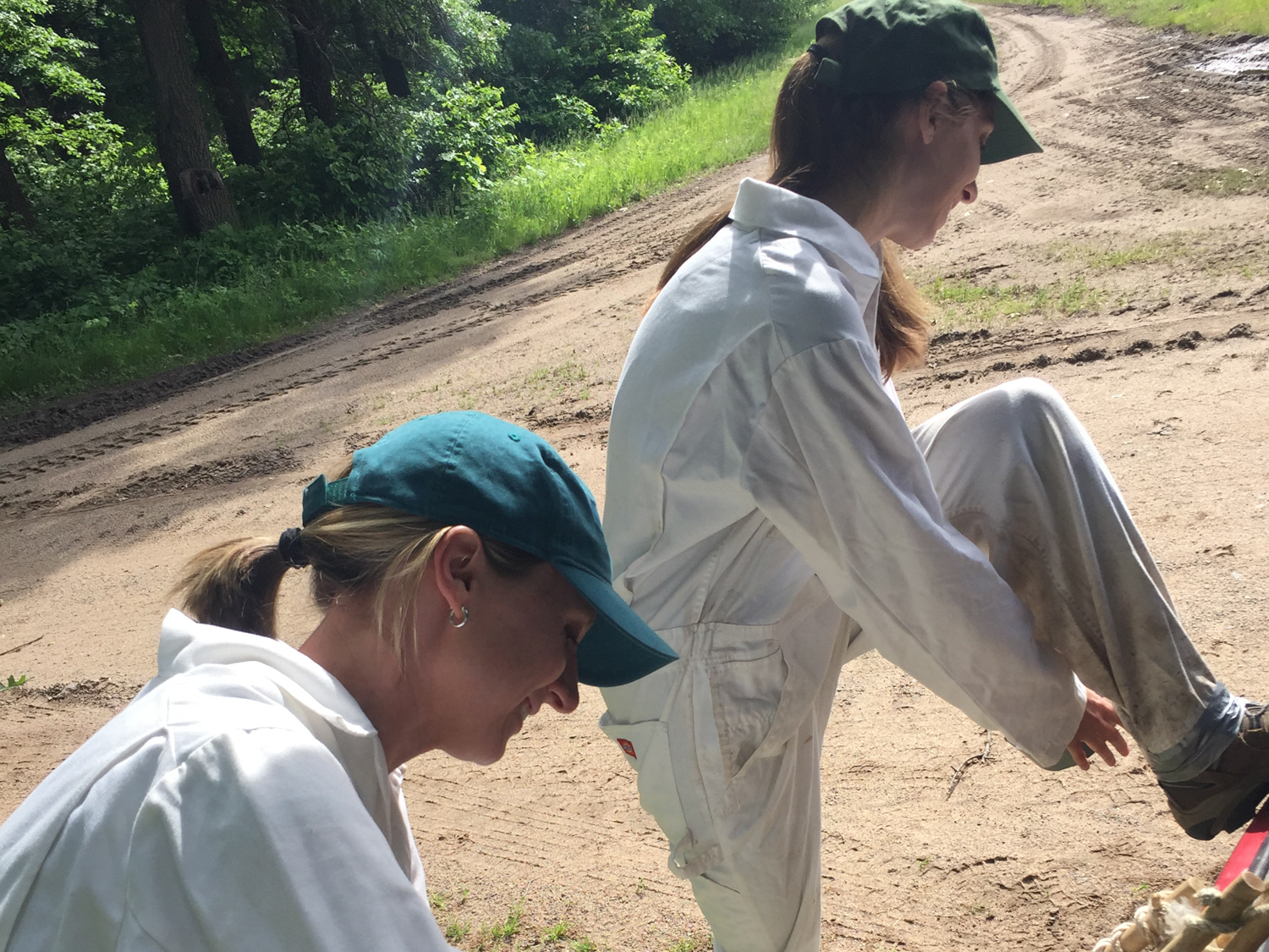 Ticks Suck. Here's A Guide To Identifying Them And Avoiding Bites