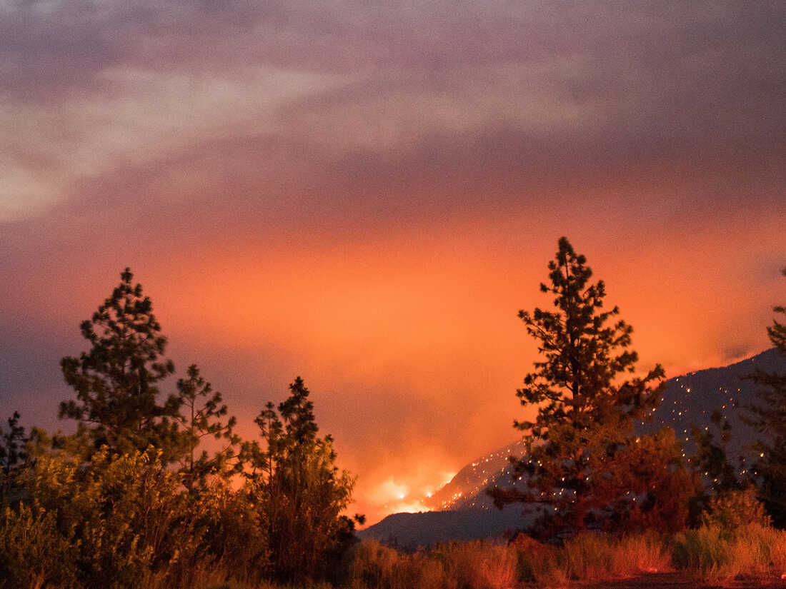 Canada Battles More Than 180 Wildfires With Hundreds Dead In Heat Wave