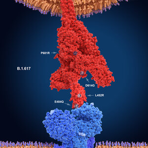 Why The Delta Variant Is Hyper-Contagious: A New Study Sheds Light