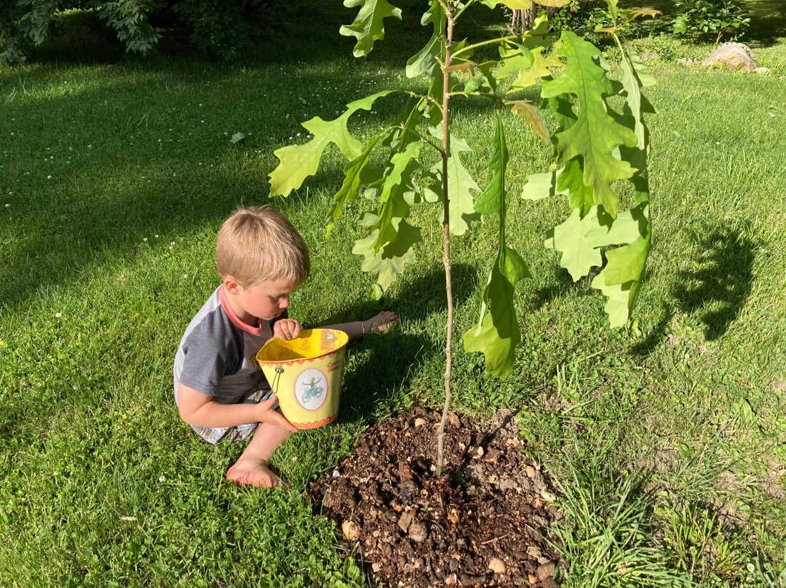 A toddler and a baby tree.