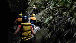 Tourists In Colombia Can Now Take Jungle Hikes With Ex-FARC Guerrilla Guides