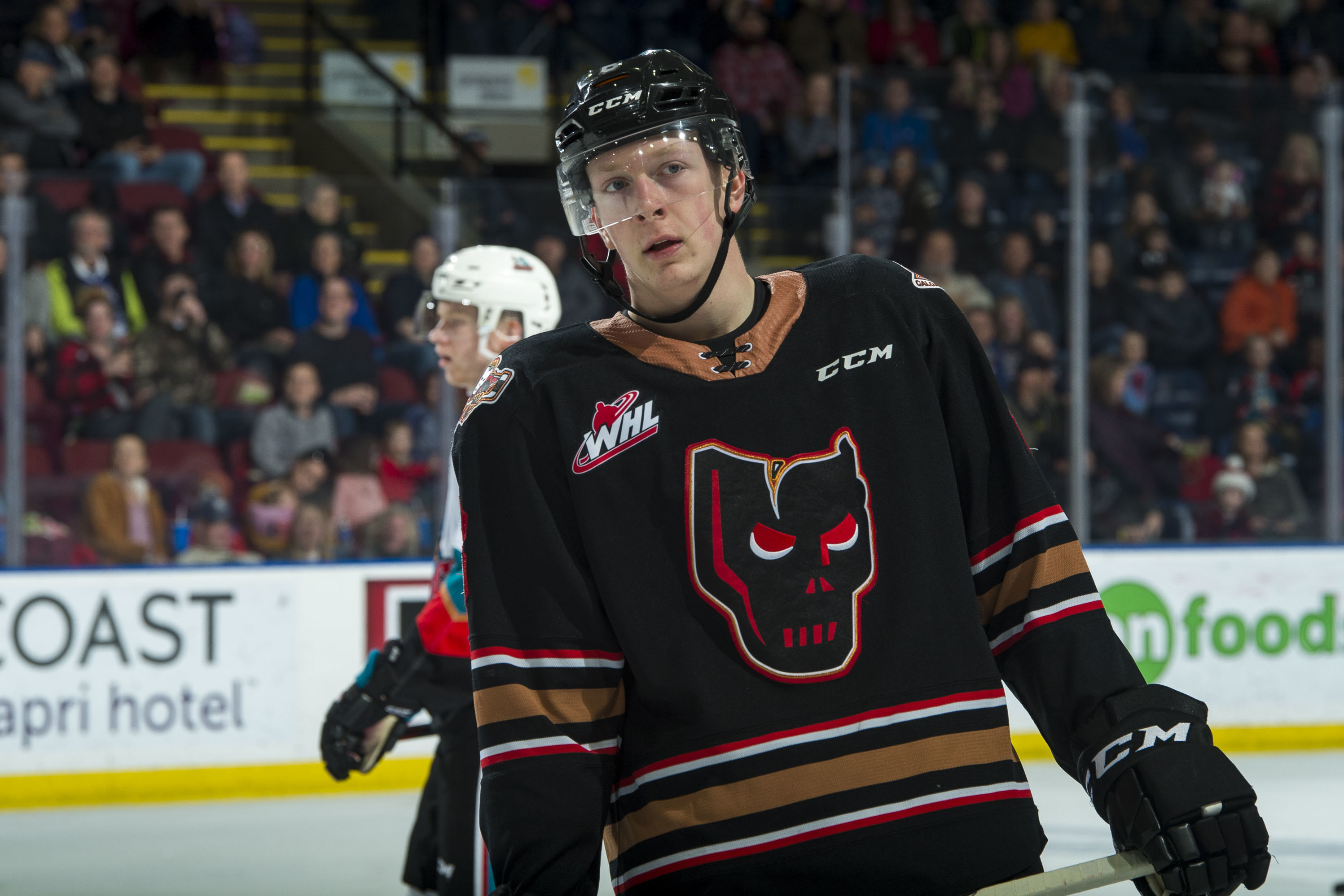 Luke Prokop, a prospect for the Nashville Predators, came out as gay on Monday. He is the first player under contract to an NHL team to do so. (Getty Images)