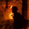 The Climate Change Link To More And Bigger Wildfires