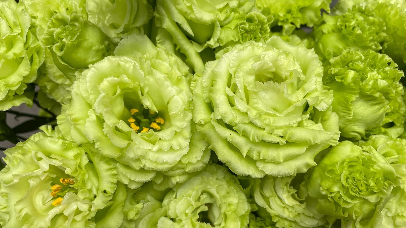 The Flowers For Olympic Medalists Carry Deep Meaning In Japan Live