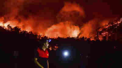 Wildfires Are Driving People Out Of Turkish Vacation Spots