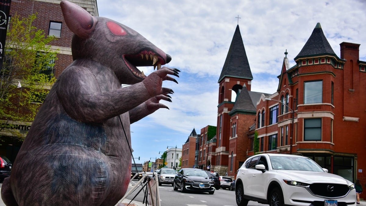 On the public art patrol: giant chairs