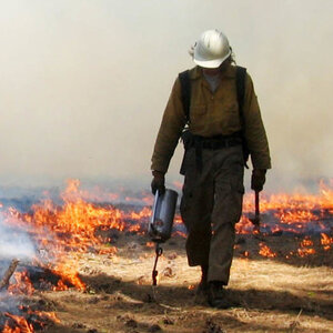 With Extreme Fires Burning, Forest Service Stops 'Good Fires' Too