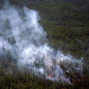 For The 1st Time In Recorded History, Smoke From Wildfires Reaches The North Pole