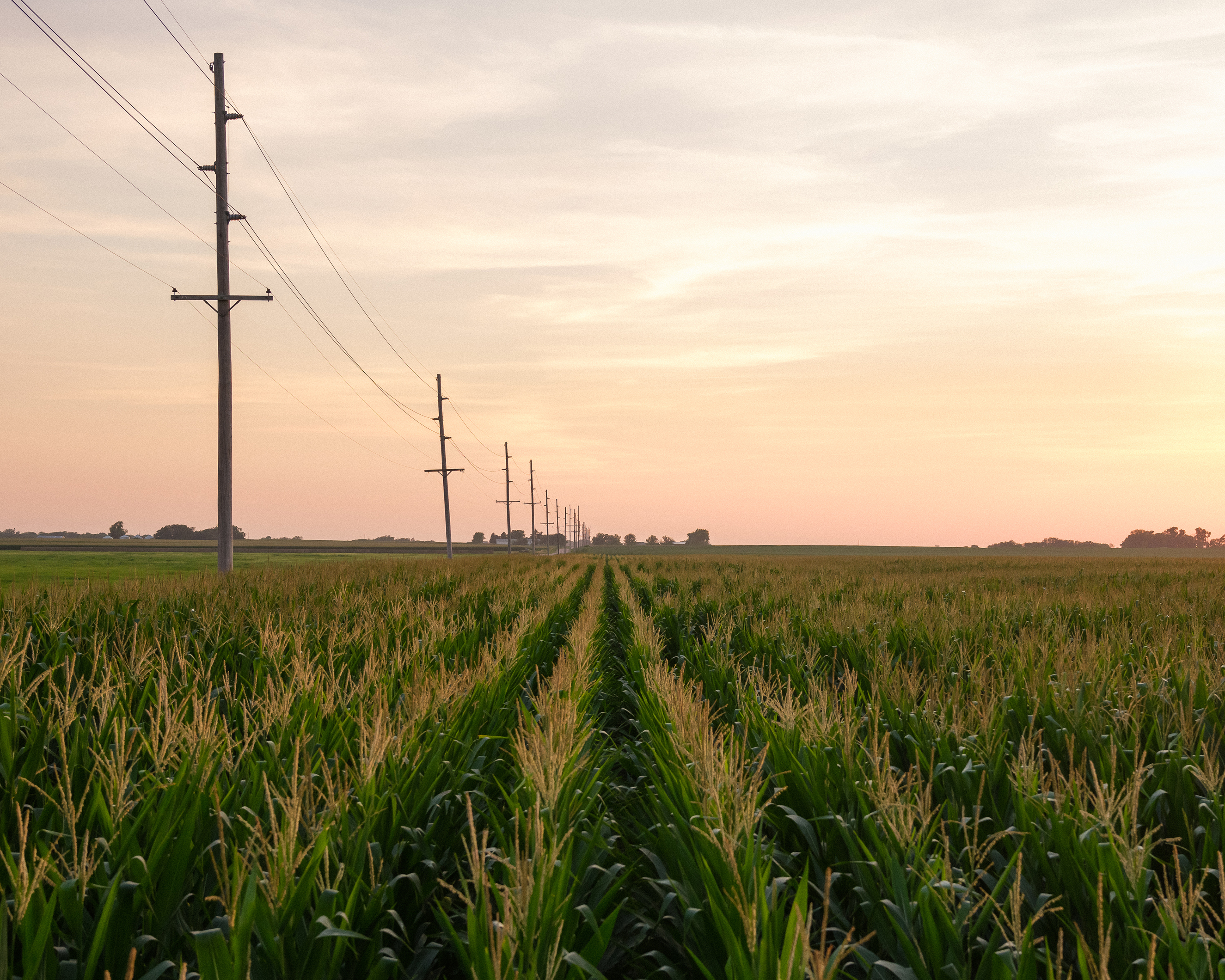 Cruz Urias Beltran collapsed because of heat-related illness while working in a cornfield near Grand Island, Neb., in 2018. He is one of at least<strong> </strong>384 workers who died from environmental heat exposure in the U.S. in the last decade, according to an investigation by Columbia Journalism Investigations and NPR. (Walker Pickering for NPR)