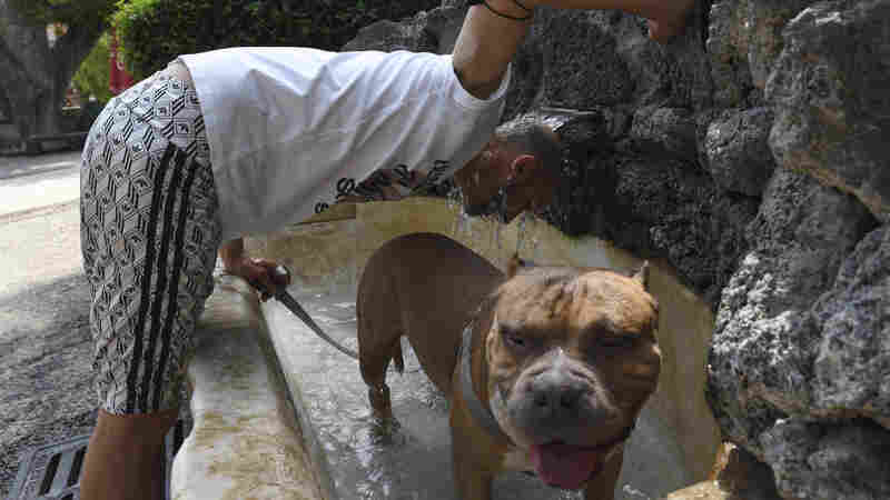 Sicily May Just Have Experienced The Hottest Day Ever In Europe