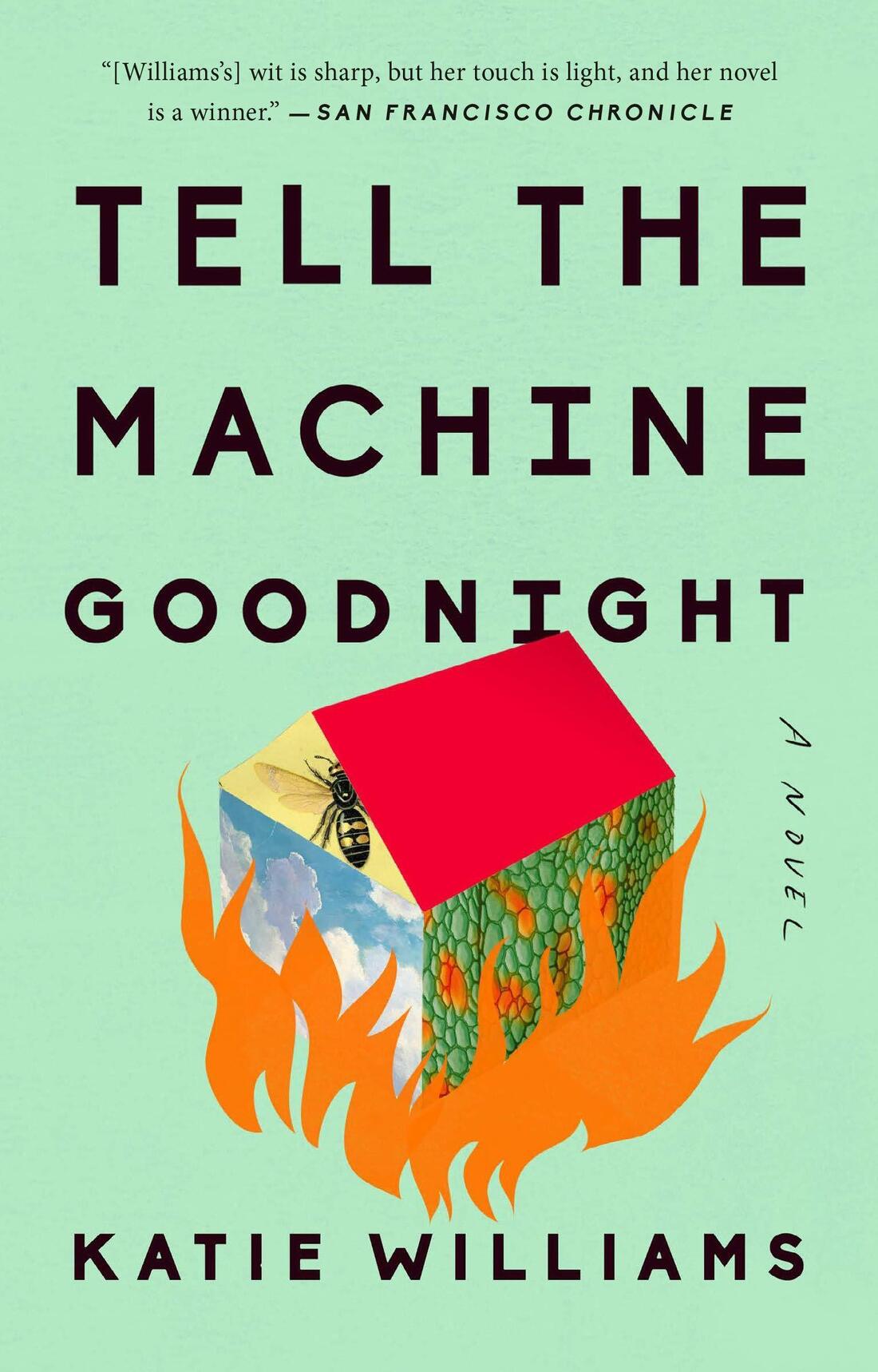 Tell the Machine Goodnight, by Katie Williams