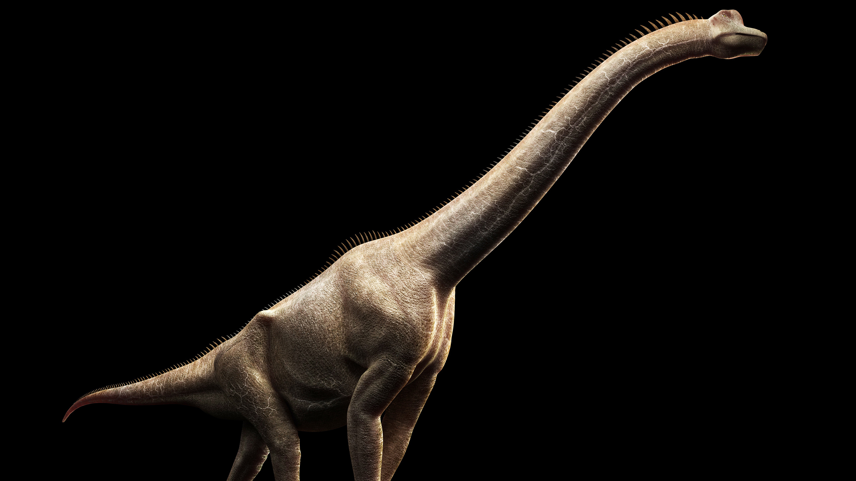 Scientists Discover Not 1, But 2 New Dinosaur Species In China