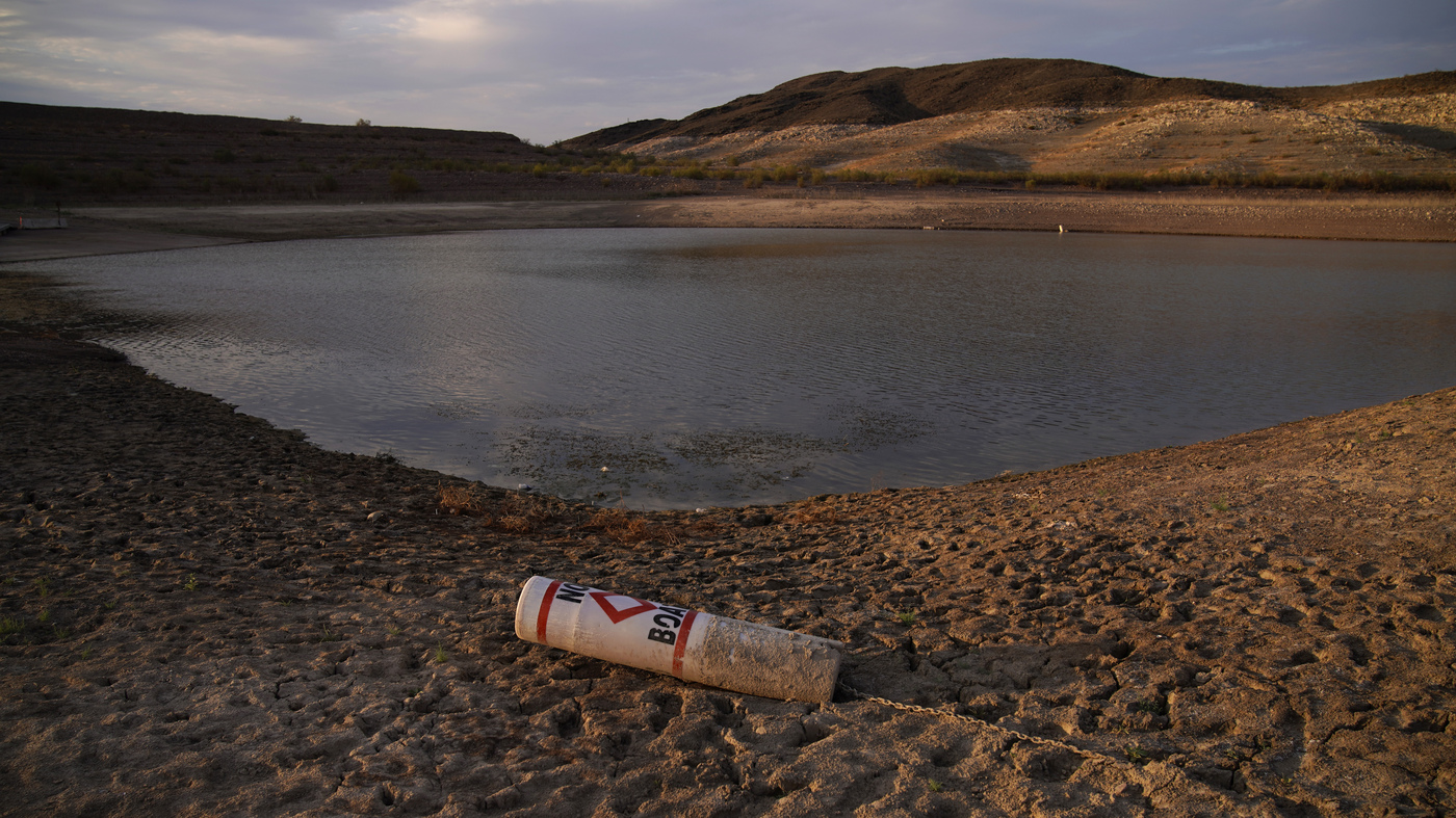 Western States Face Water Cuts As A Shortage In The Colorado River Is Declared Npr