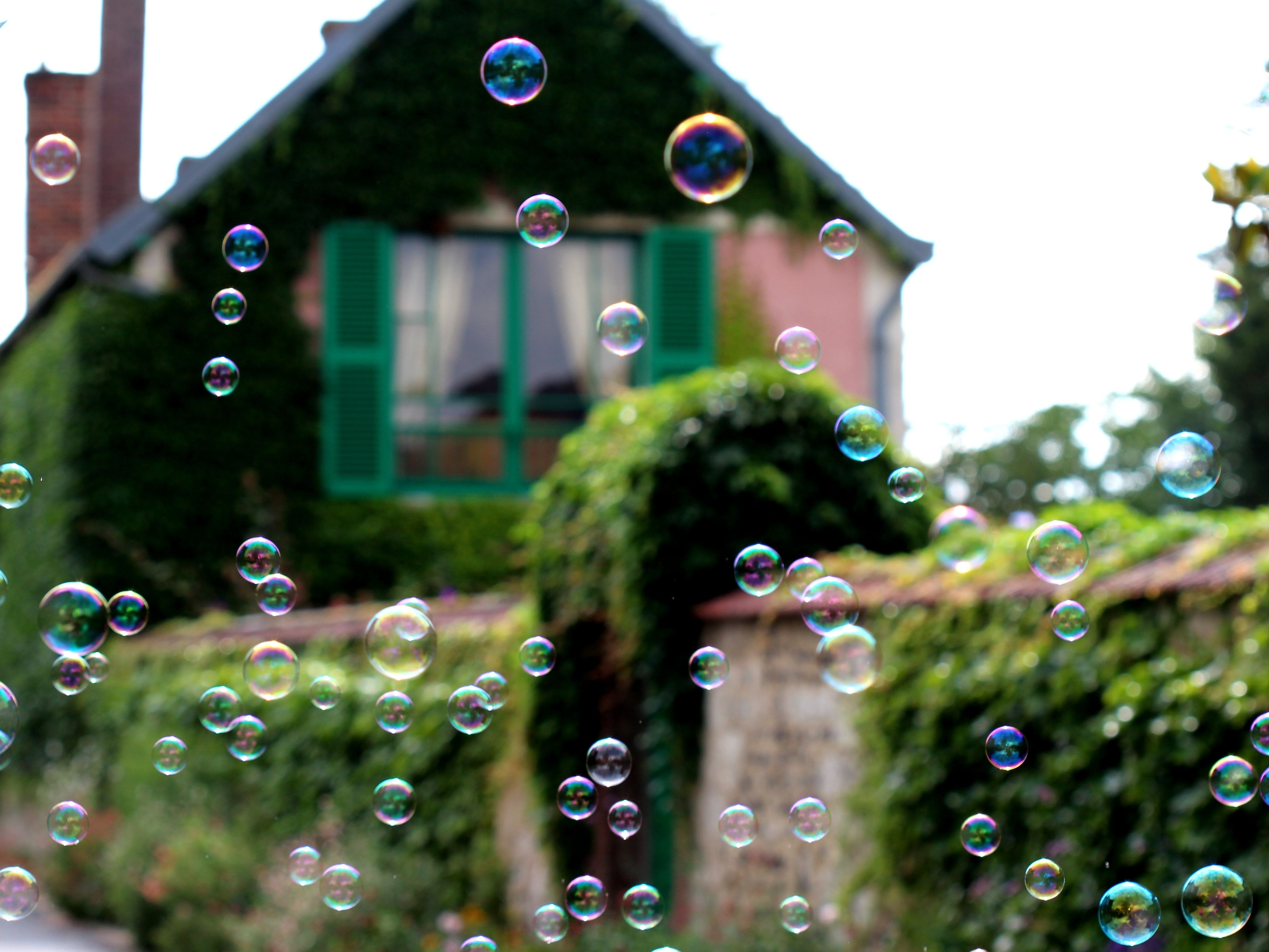  (Pixabay)