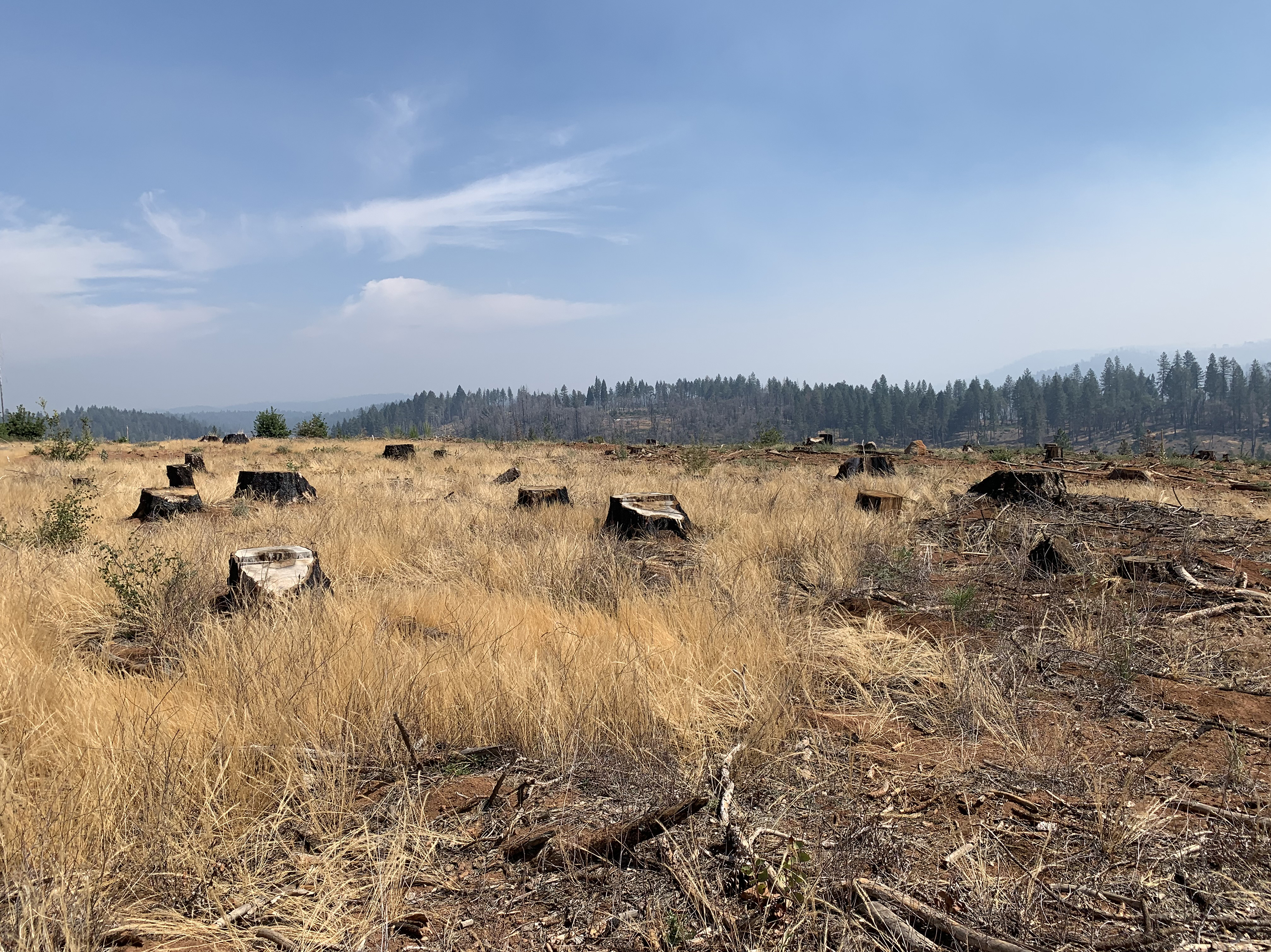 In Fire Scorched California, Town Aims To Buy The Highest At-Risk Properties