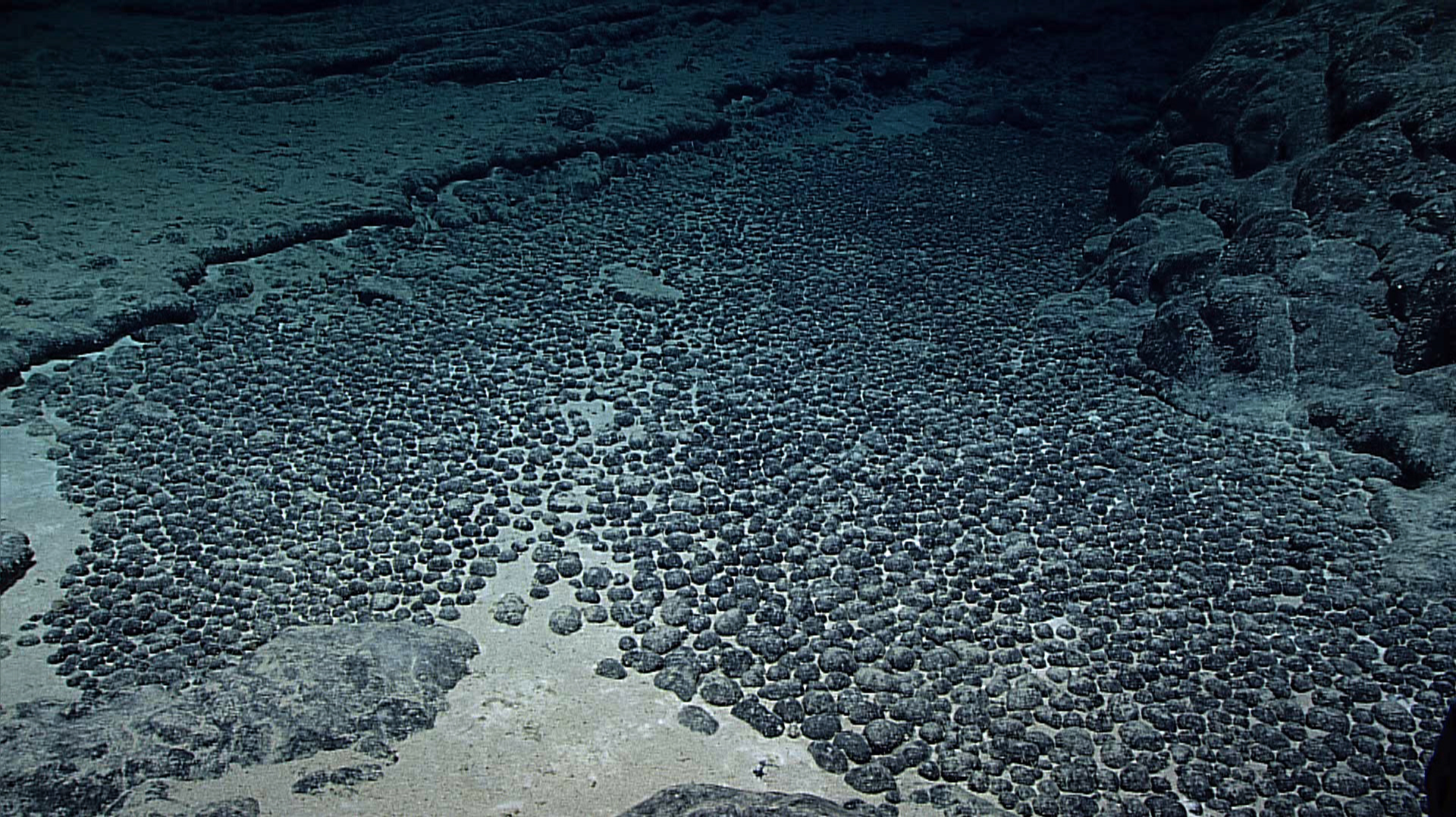 Risks Of Deep Sea Mining For Electric Car Minerals : NPR
