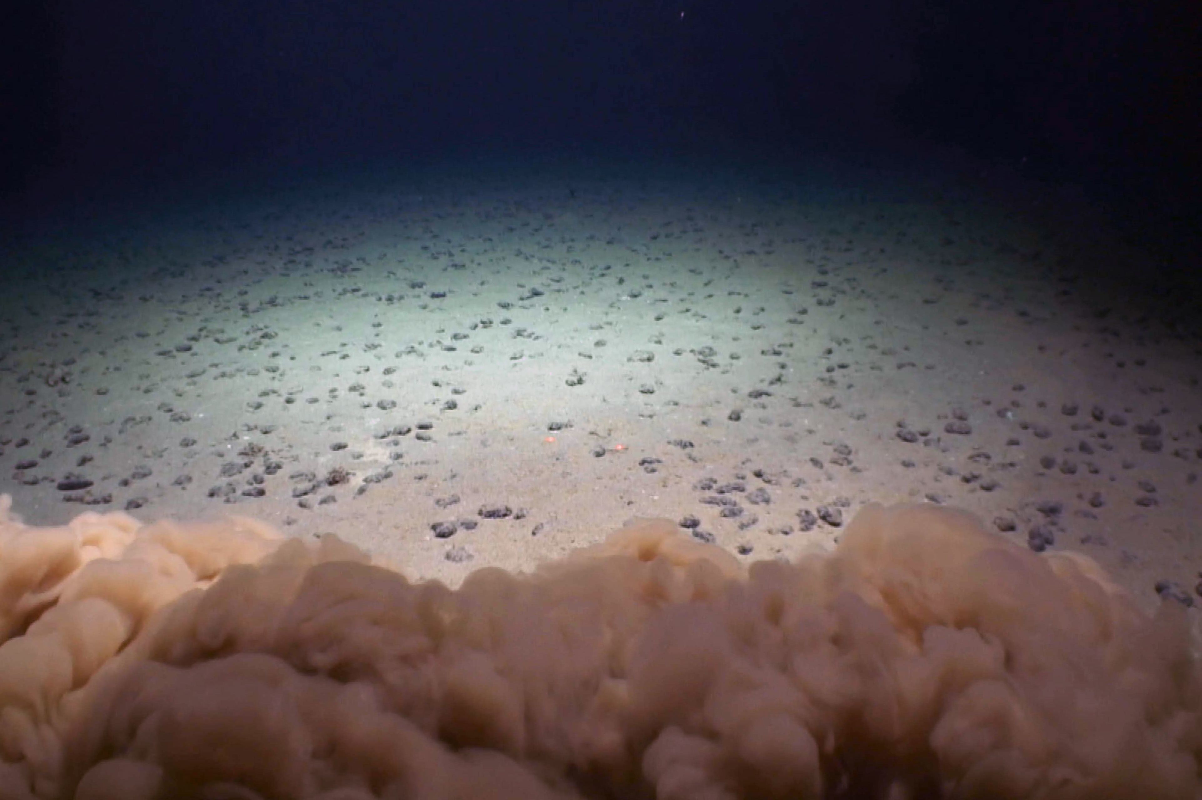 Risks Of Deep Sea Mining For Electric Car Minerals : NPR