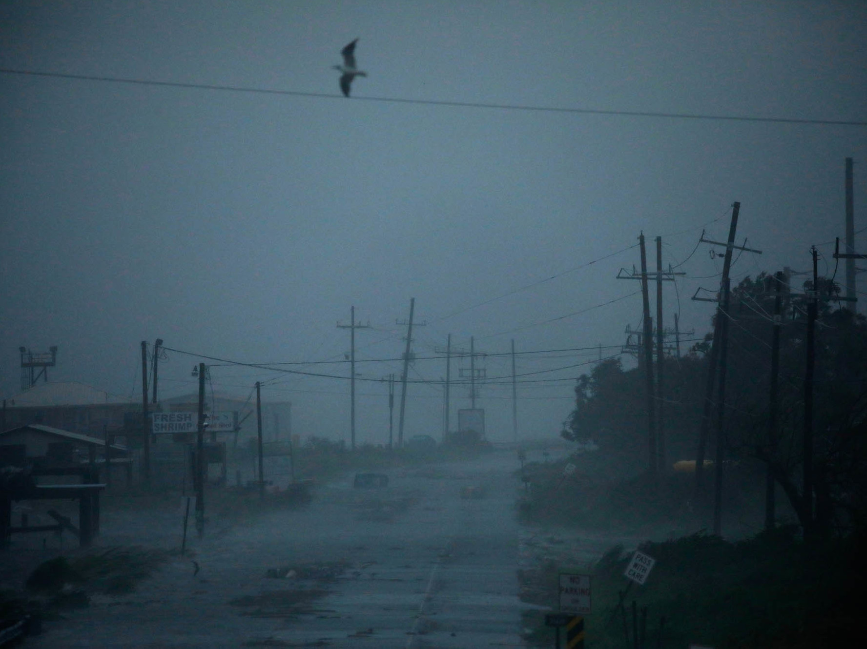 Photos Scenes From Hurricane Ida's Devastating Path NCPR News
