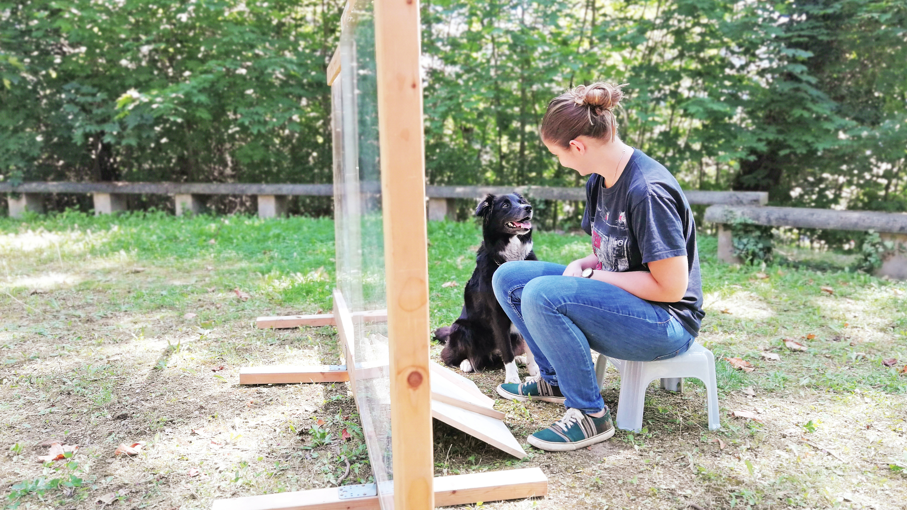 Dogs May Know When You Just Made A Mistake Shots Health News NPR