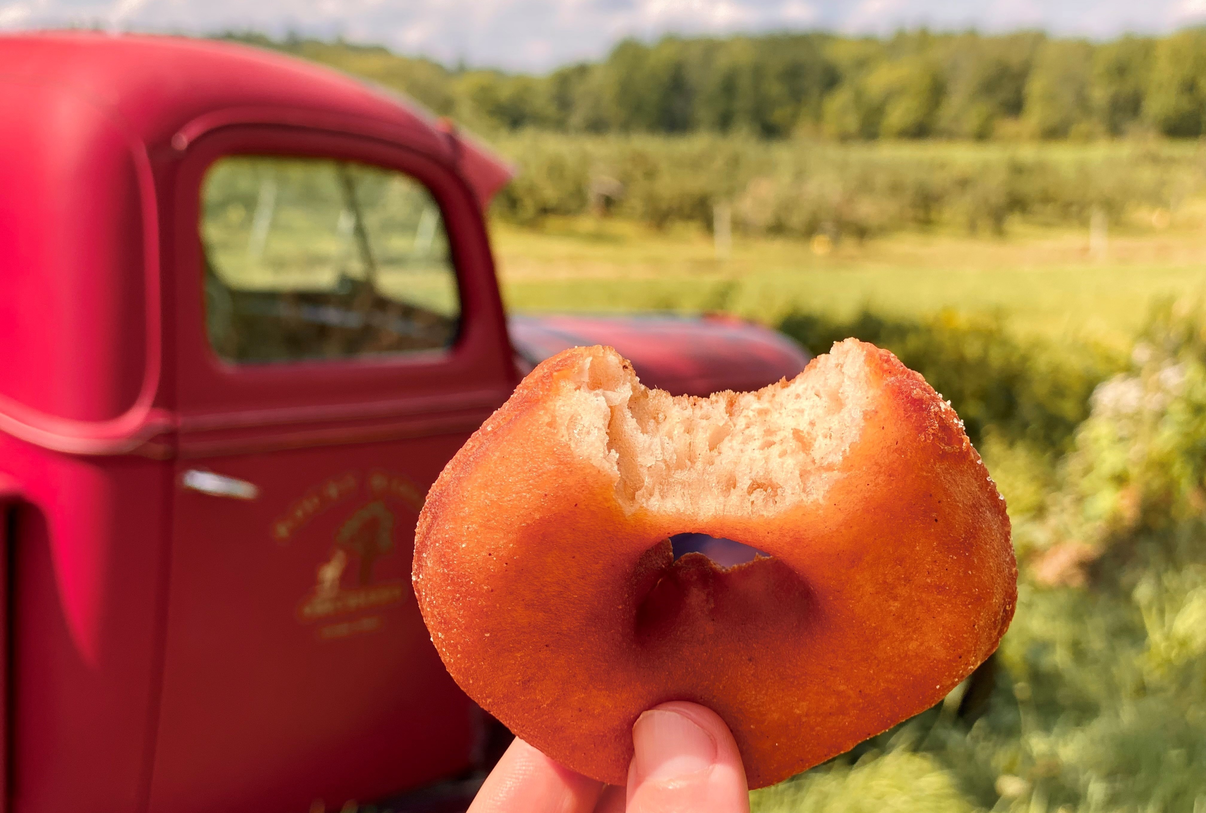 Alex Schwartz is hunting for the best cider doughnuts New England has to offer. (Courtesy of Alex Schwartz)