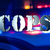 Minnesota Supreme Court clears Minneapolis police change poll question: NPR 5 Minnesota Supreme Court clears Minneapolis police change poll question: NPR
