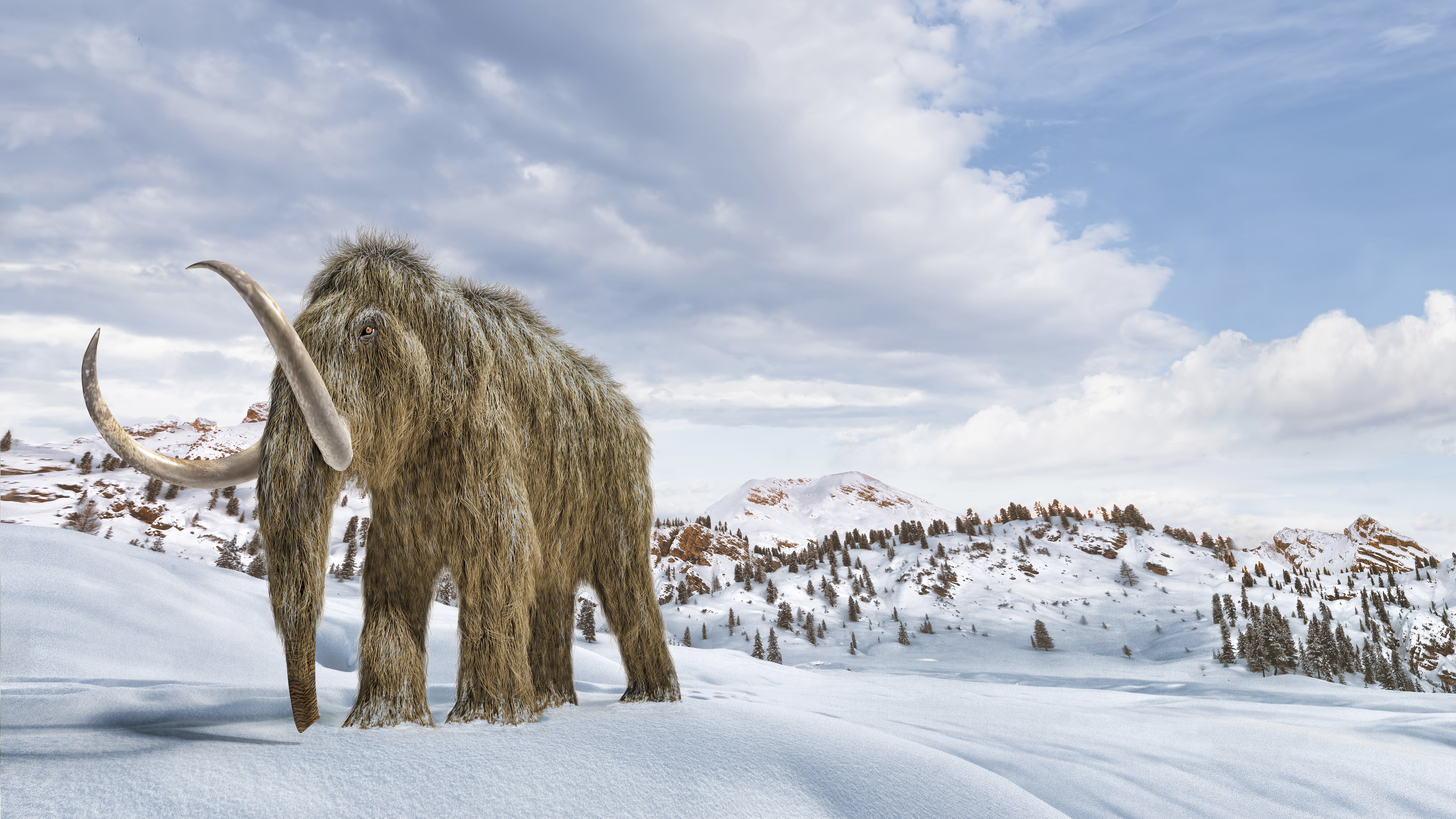 An artist's impression of a woolly mammoth in a snow-covered environment. (Getty Images/Stocktrek Images)