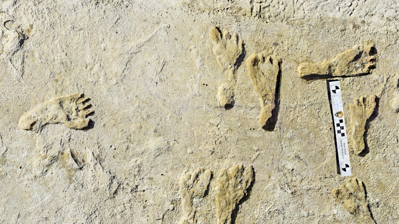 Ancient Footprints Show Humans Lived In The Americas Earlier Than Once Thought