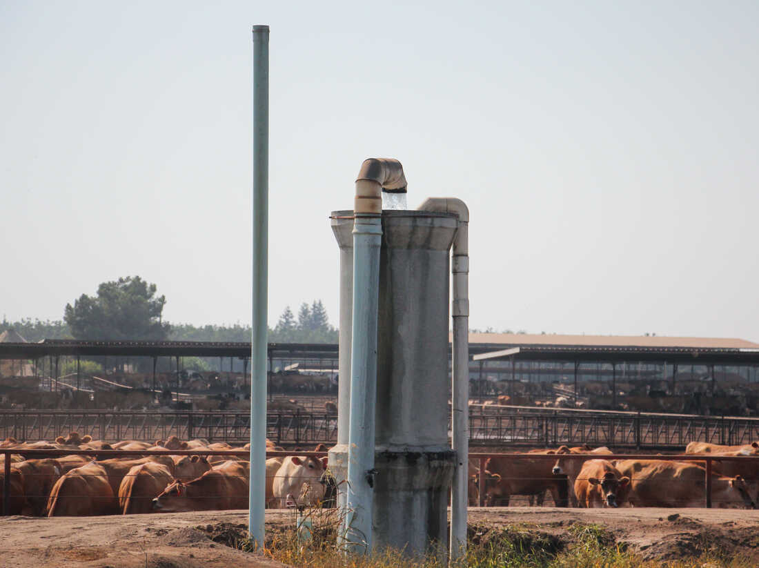 Limits on water use are shaking up California agriculture 