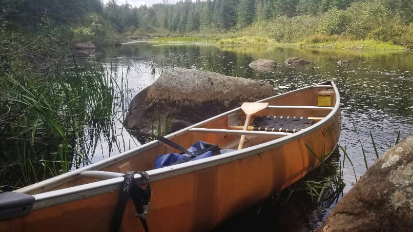 Getting away from it all on a stream in New York's Adirondack State Park : NPR - Vimarsana News