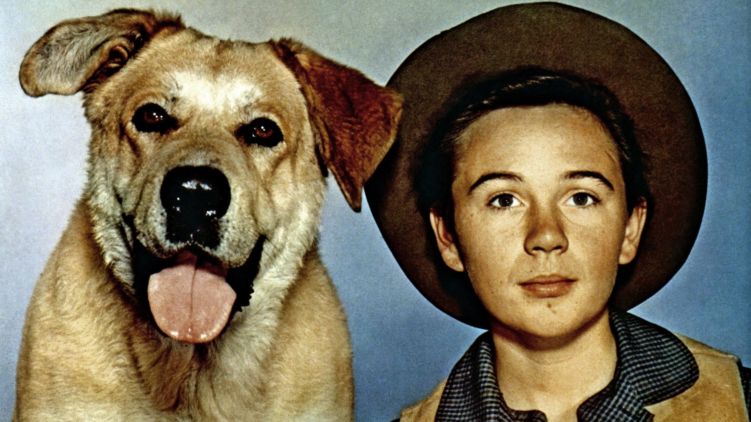 Tommy Kirk, Child Actor From 'Old Yeller,' Has Died At 79 : NPR