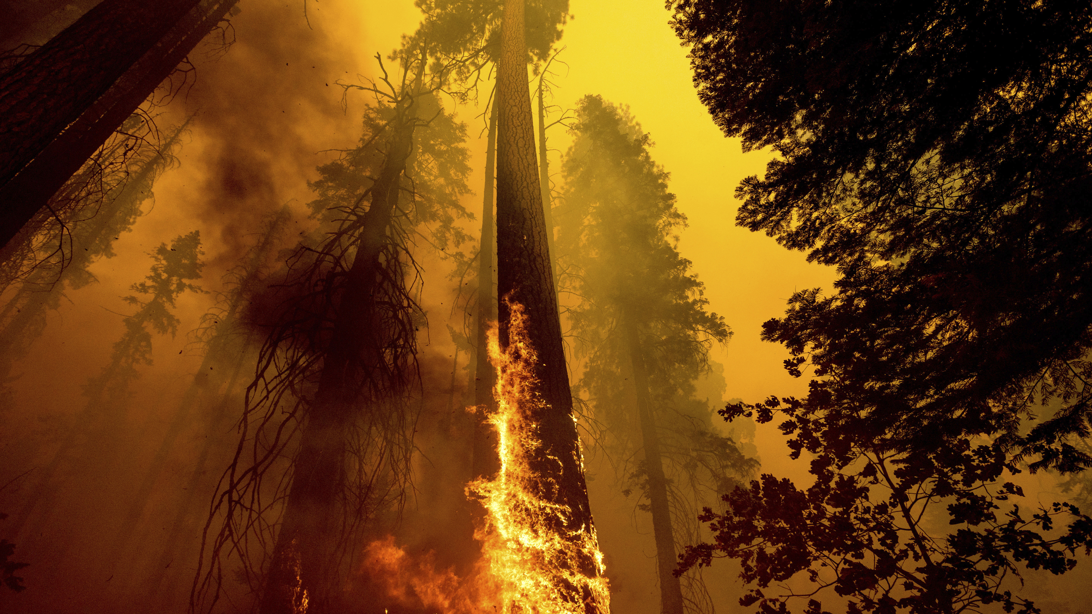 Climate Change Means More Extreme Weather Events For Future Generations : Consider This from NPR : NPR - Vimarsana News