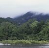 A historic rainforest and other lands have been returned to Indigenous Australians