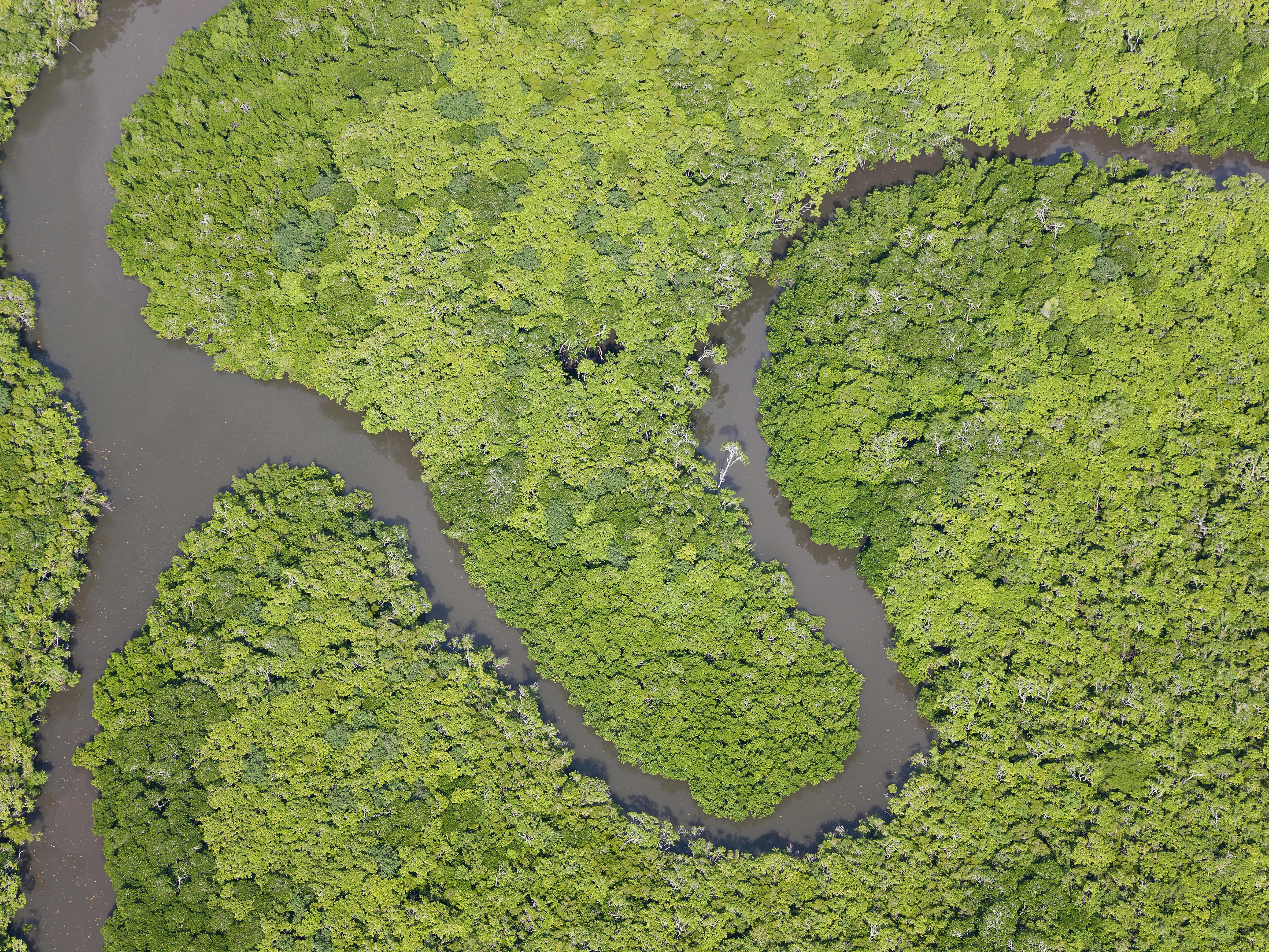 A historic rainforest and other lands have been returned to Indigenous Australians