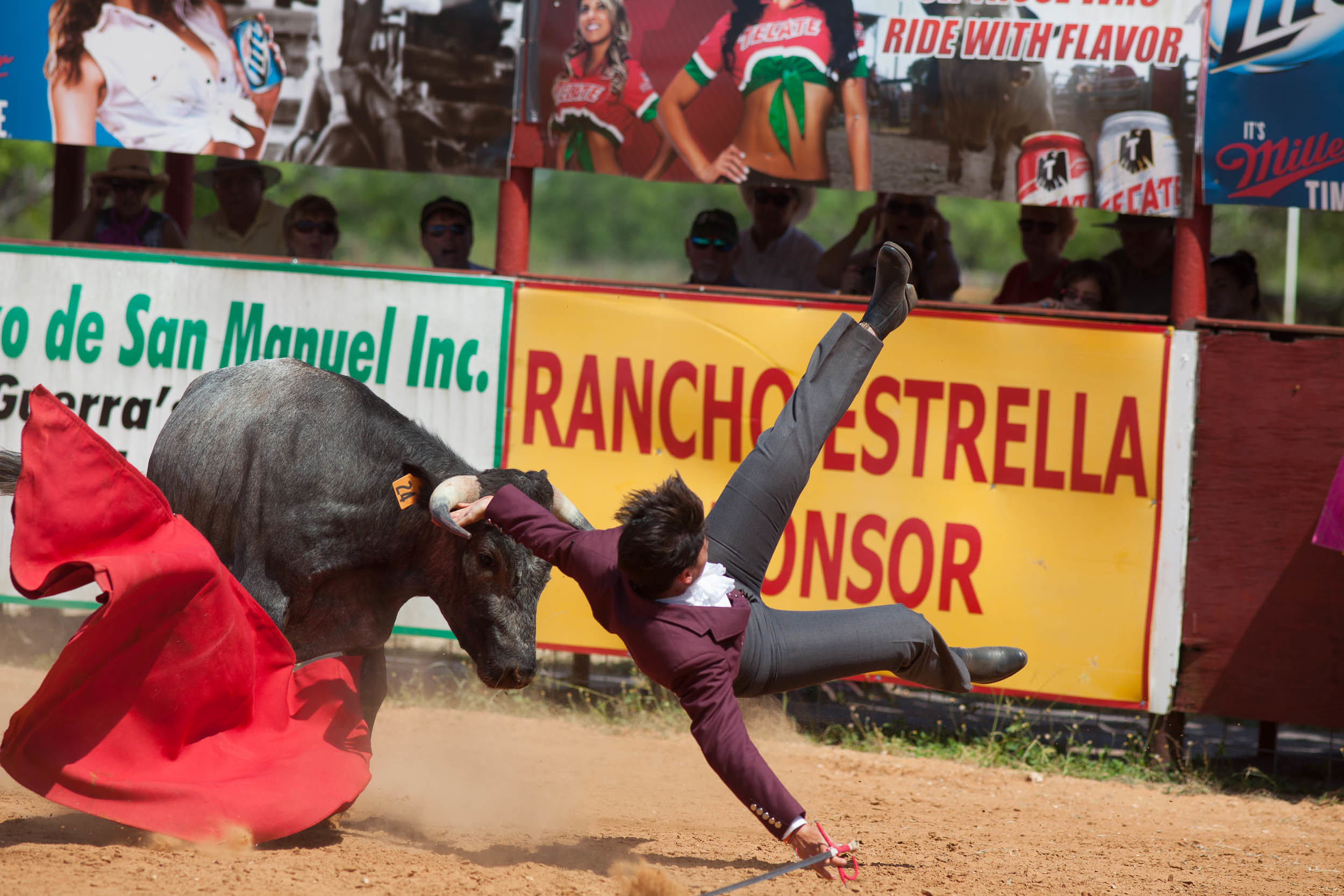 A photographer captured the art of bloodless bullfighting in Texas for